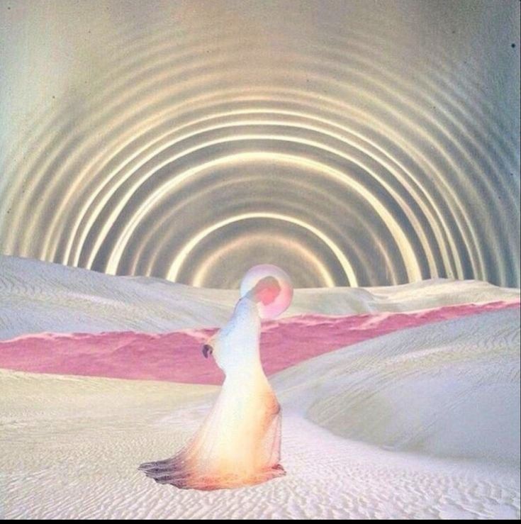 What is the Mirror Exercise? (Video)